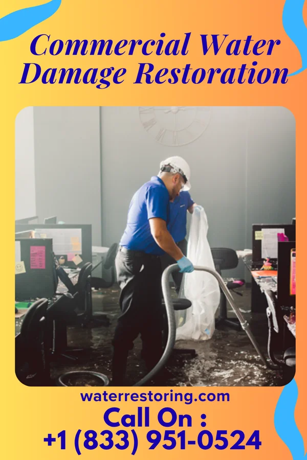 Commercial Water Damage Restoration in Noble, IL