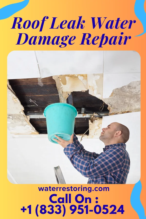 Roof Leak Water Damage Repair in Noble, IL